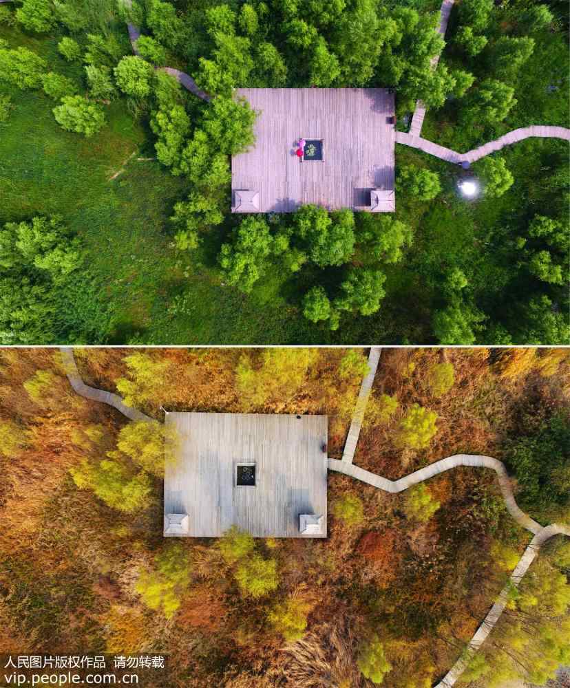 Aerial view of Shandong wetland park