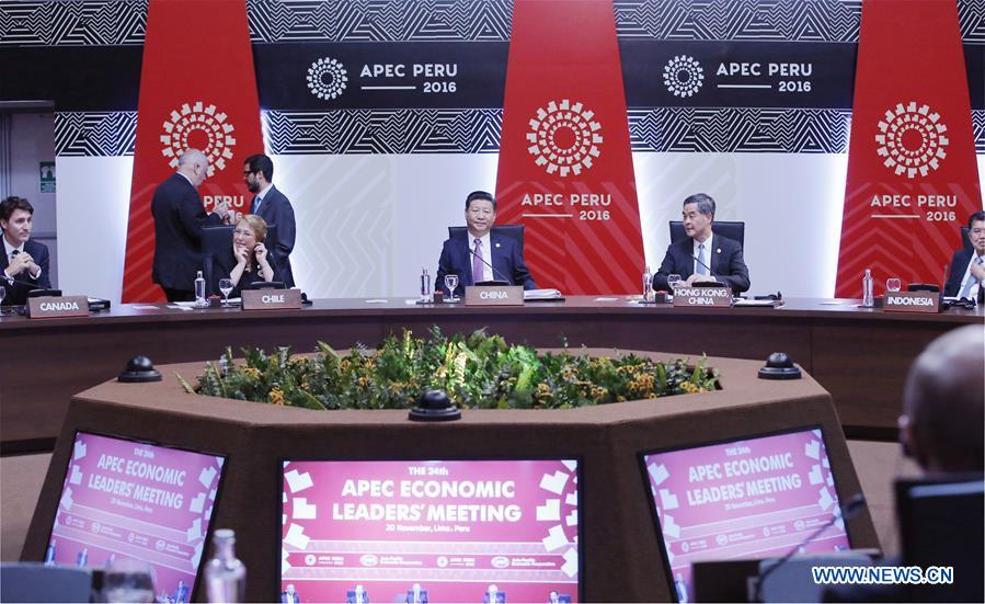 China advocates APEC leadership in economic globalization despite setbacks