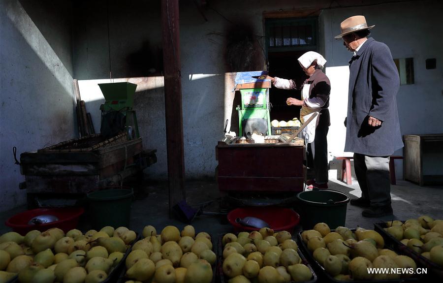 CHINA-CHENGDU-PEAR SYRUP  (CN)