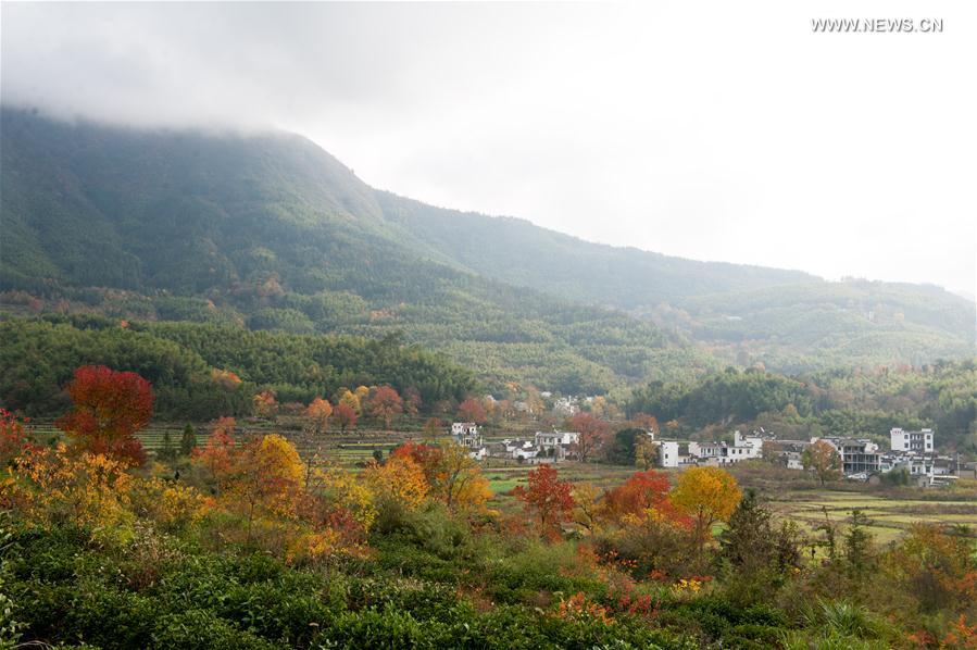 CHINA-ANHUI-HUANGSHAN-SCENERY (CN)