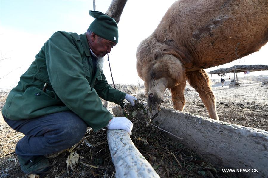 CHINA-GANSU-BATTLE AGAINST DESERTIFICATION (CN)