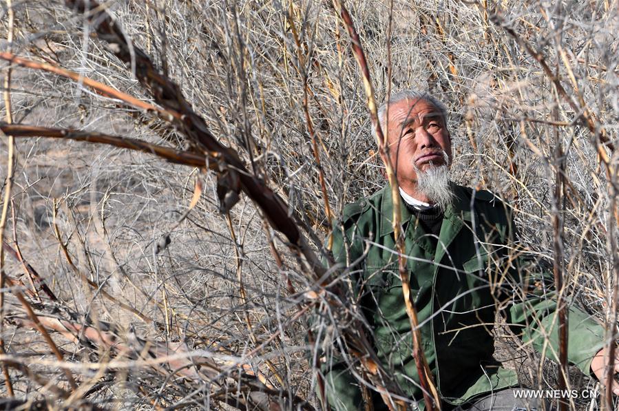 CHINA-GANSU-BATTLE AGAINST DESERTIFICATION (CN)