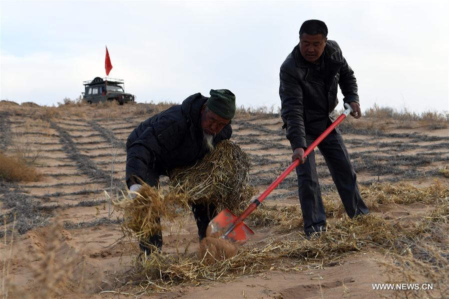 CHINA-GANSU-BATTLE AGAINST DESERTIFICATION (CN)