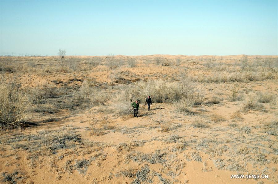 CHINA-GANSU-BATTLE AGAINST DESERTIFICATION (CN)