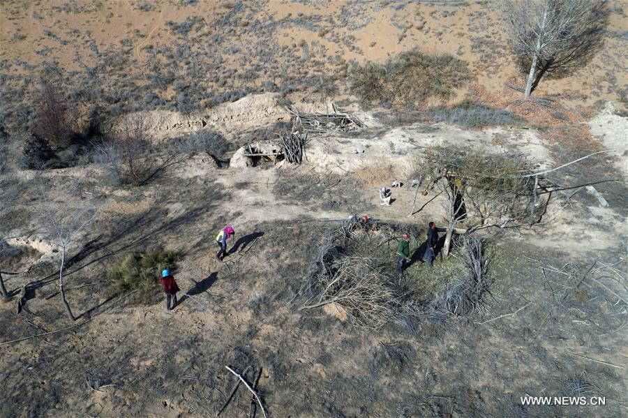 CHINA-GANSU-BATTLE AGAINST DESERTIFICATION (CN)