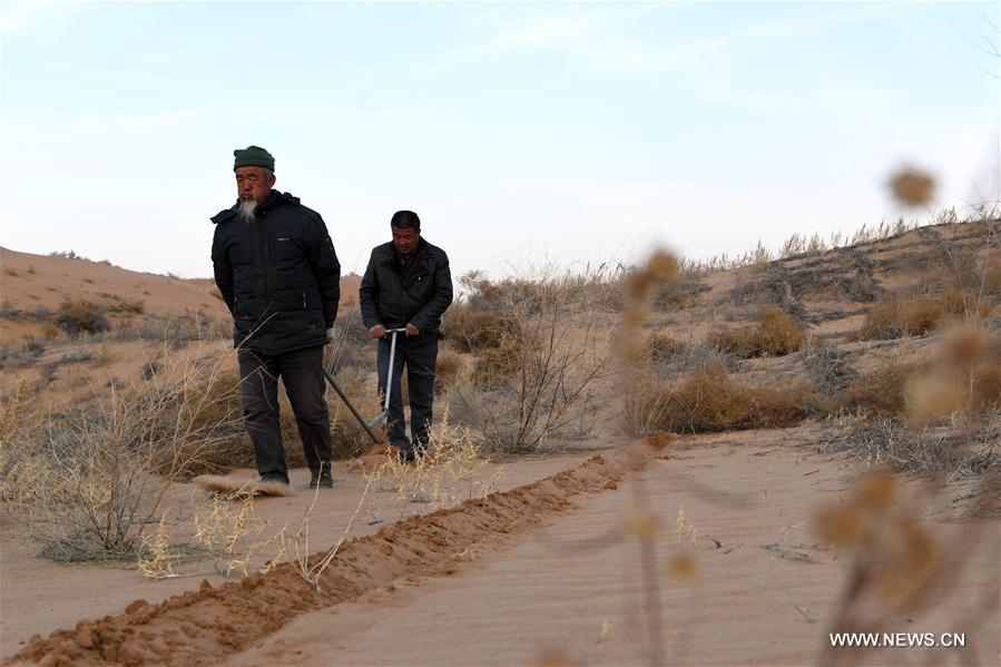 CHINA-GANSU-BATTLE AGAINST DESERTIFICATION (CN)