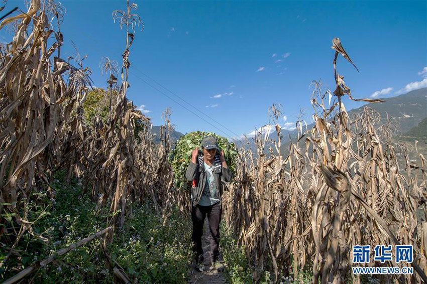 Remote Yunnan village waits for highway, other infrastructural development 