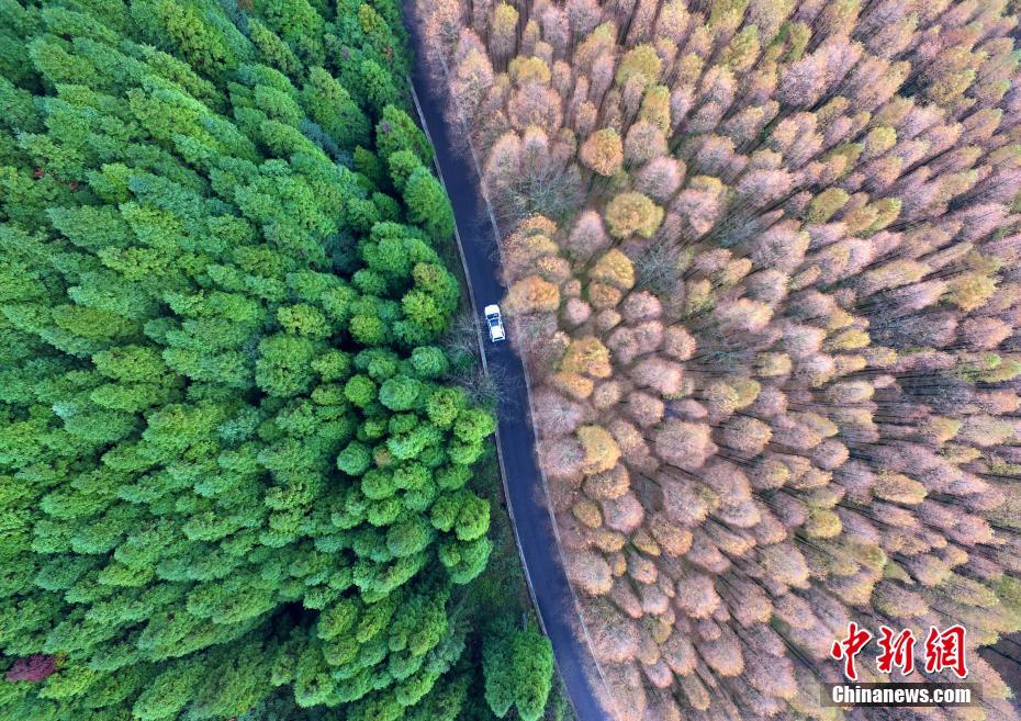 Colorful scenery of Shanwangping Karst National Ecological Park