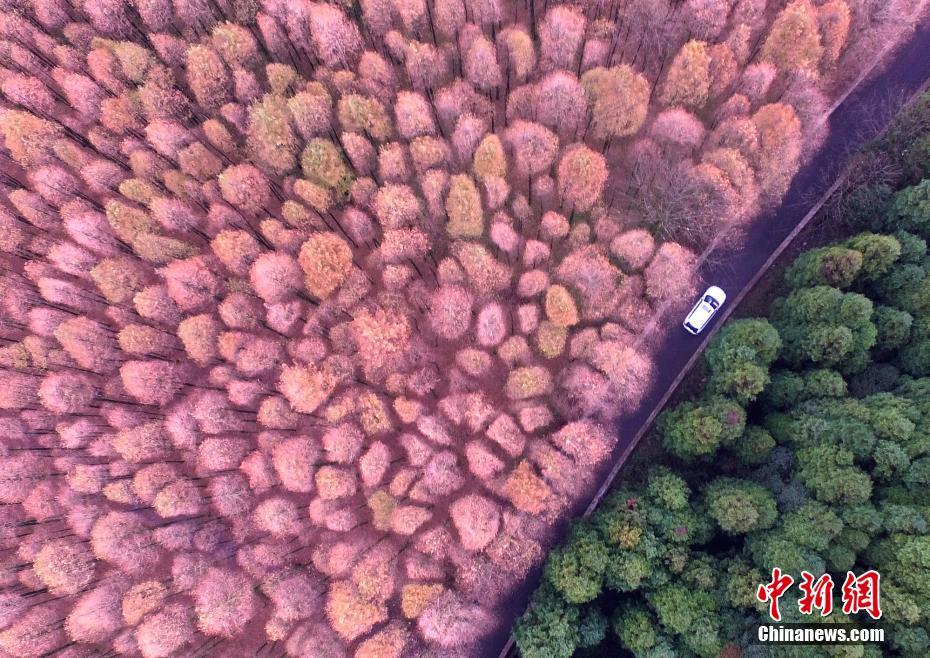 Colorful scenery of Shanwangping Karst National Ecological Park