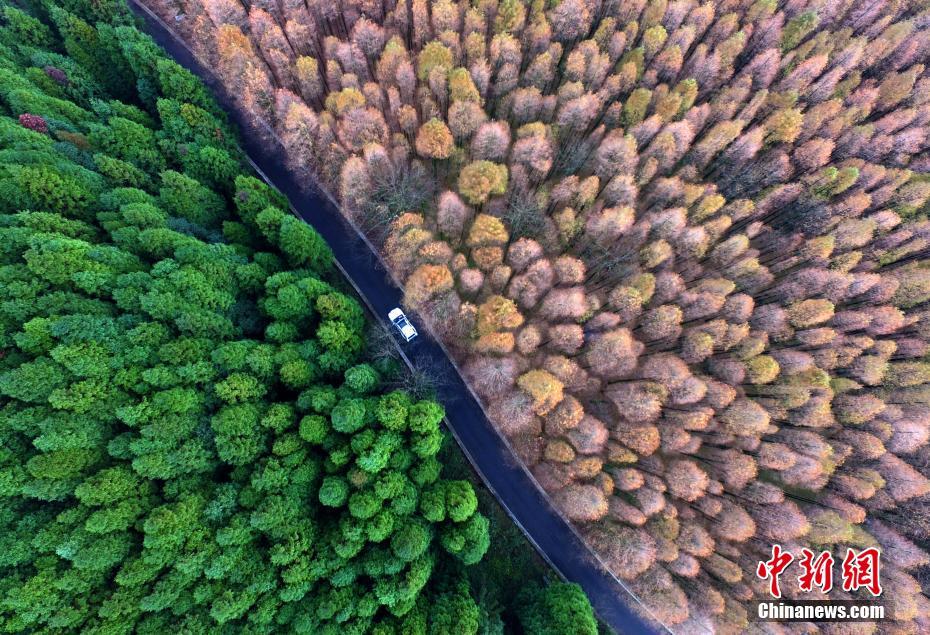 Colorful scenery of Shanwangping Karst National Ecological Park