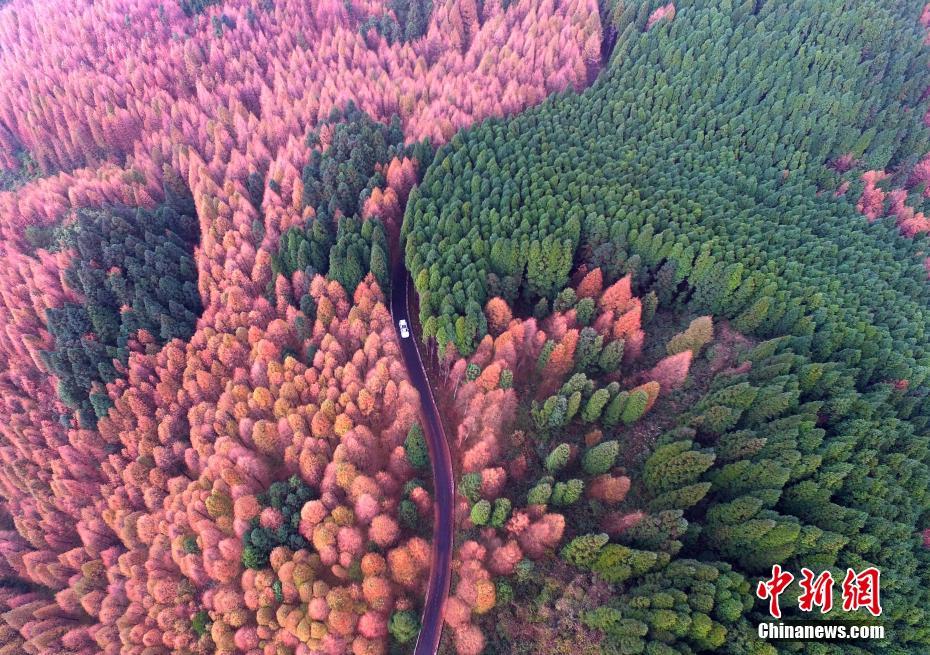 Colorful scenery of Shanwangping Karst National Ecological Park