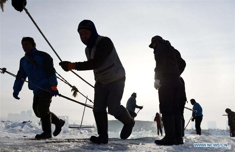 CHINA-HARBIN-ICE-COLLECTION (CN)