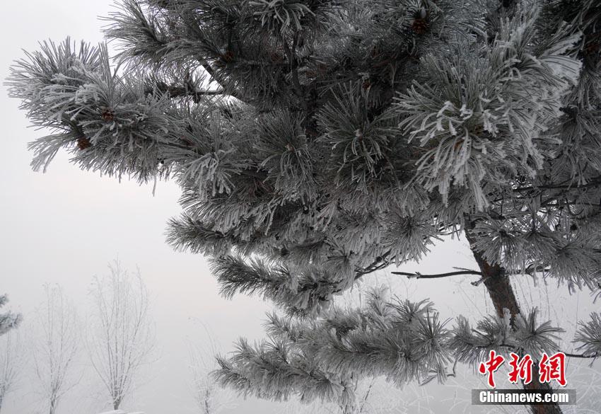 Jilin residents embrace first frost of winter