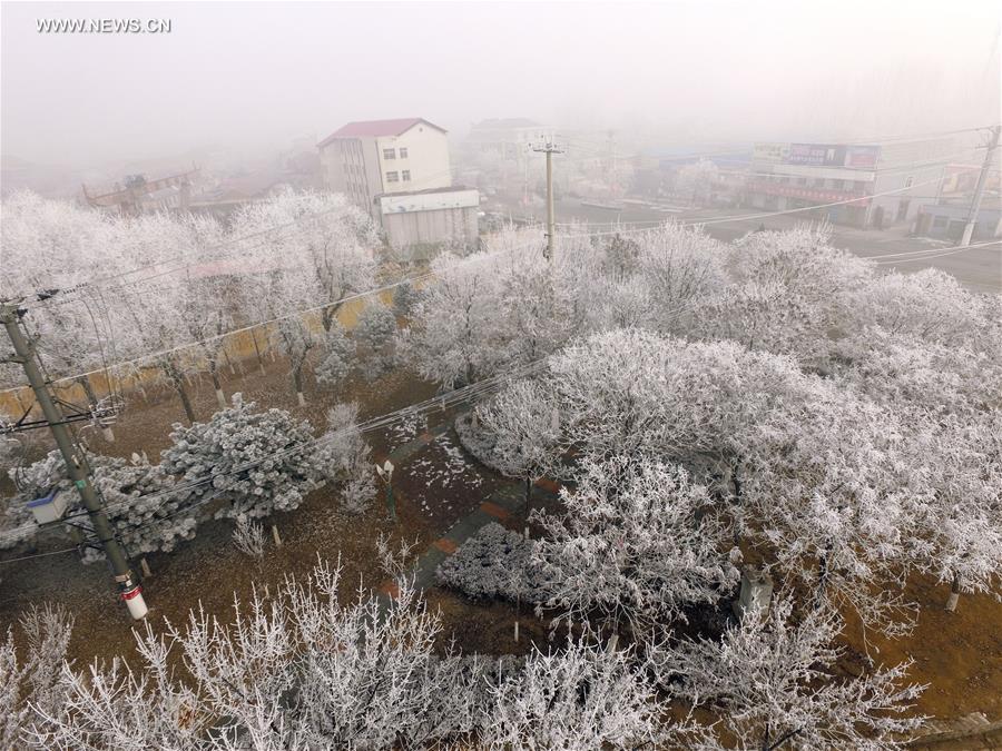 #CHINA-HEBEI-ZUNHUA-RIME (CN)