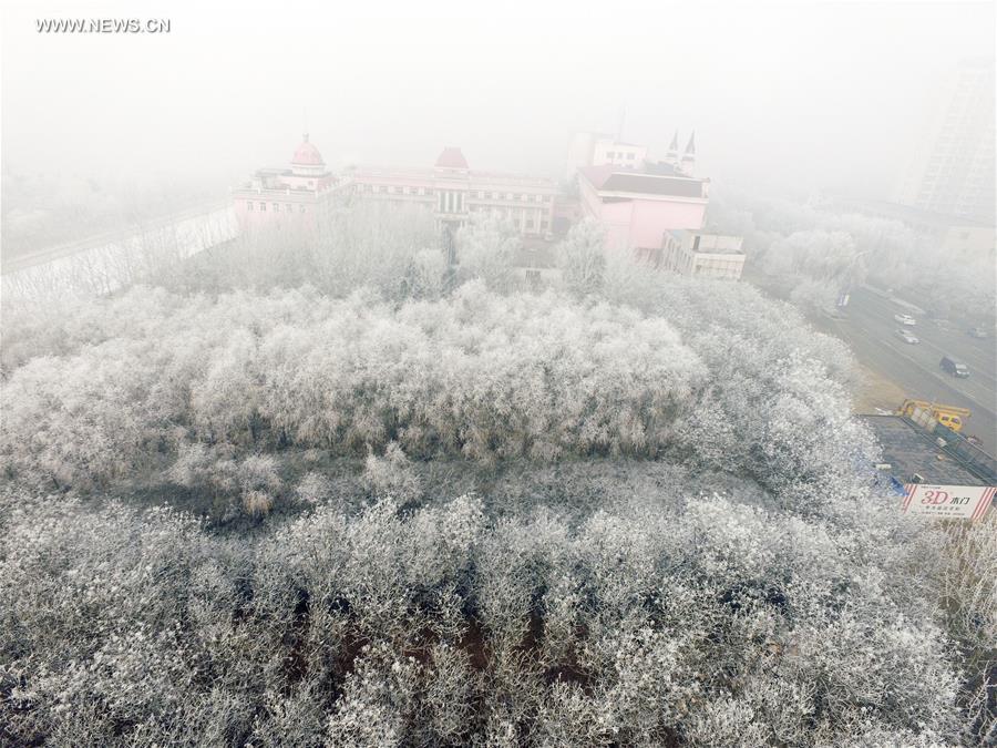 #CHINA-HEBEI-ZUNHUA-RIME (CN)