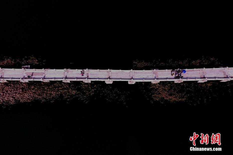 Anping Bridge: longest ancient stone bridge in China