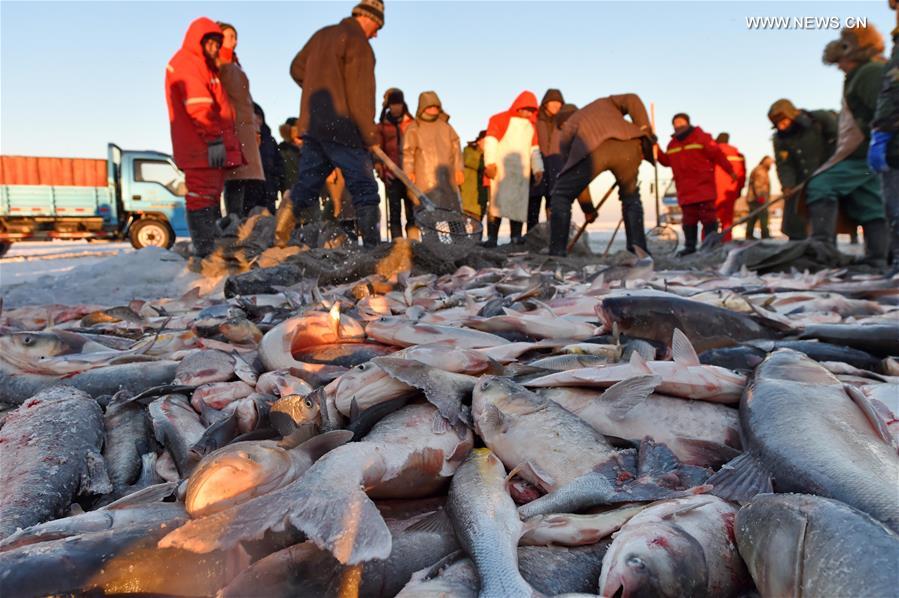 CHINA-JILIN-CHAGAN LAKE-WINTER FISHING (CN)