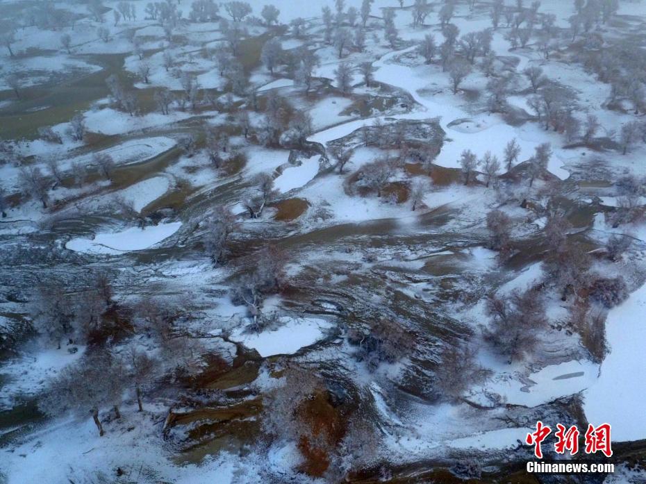 Splendid frost along Xinjiang's Tarim River