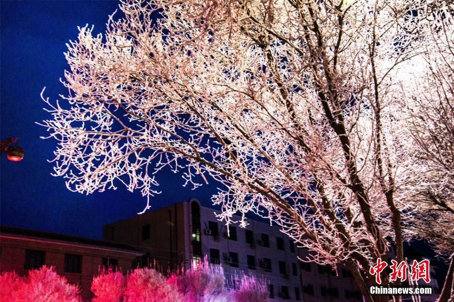 Dunhuang covered in spectacular frost after snow