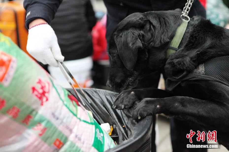 A police dog's last mission