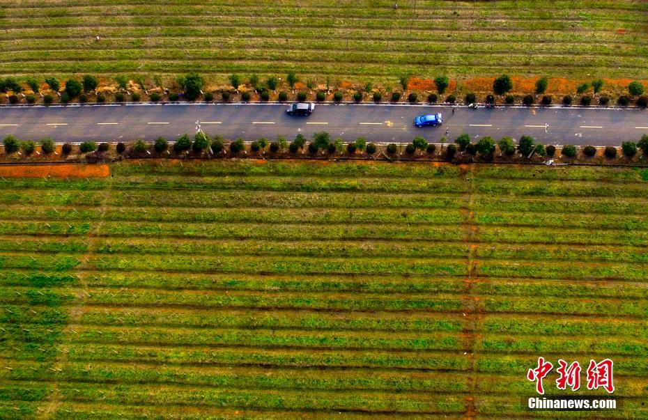 Jiangxi agricultural 'fairyland'