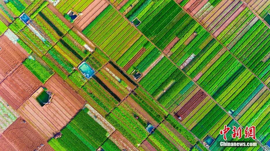 Mosaic-like Haikou farmland from above