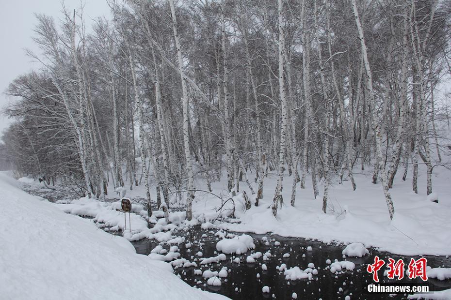 Thawed spring in Xinjiang