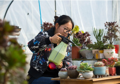 Chinese college graduates diversify life choices