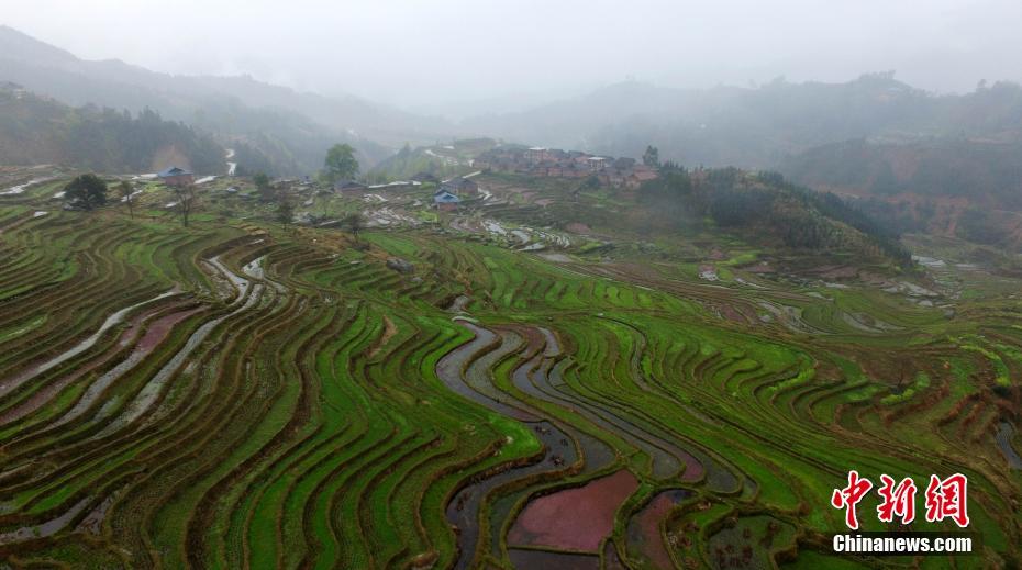 Aerial view of terraced fields in Southwest China