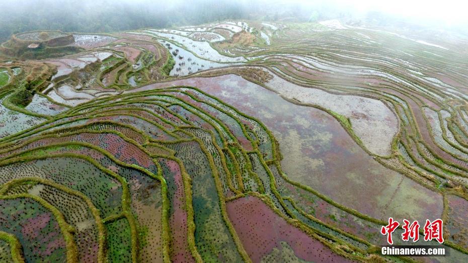 Aerial view of terraced fields in Southwest China