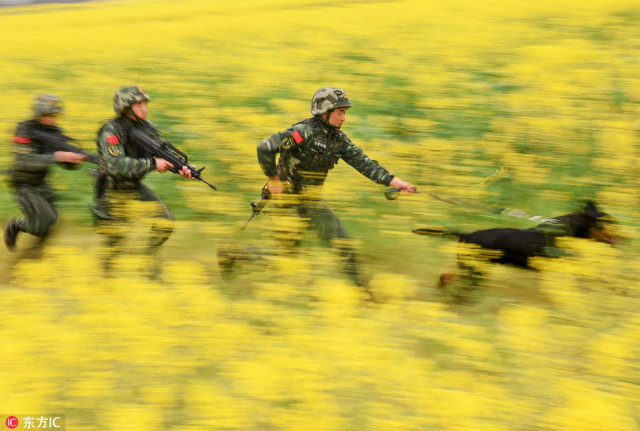 Armed police train in Jiangxi flower field