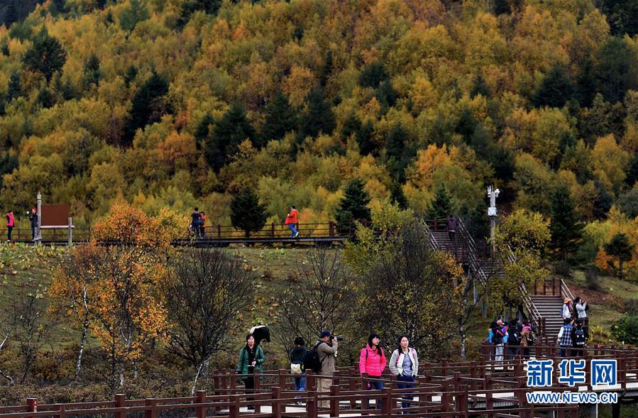 Yunnan pilots national park system to protect rare species