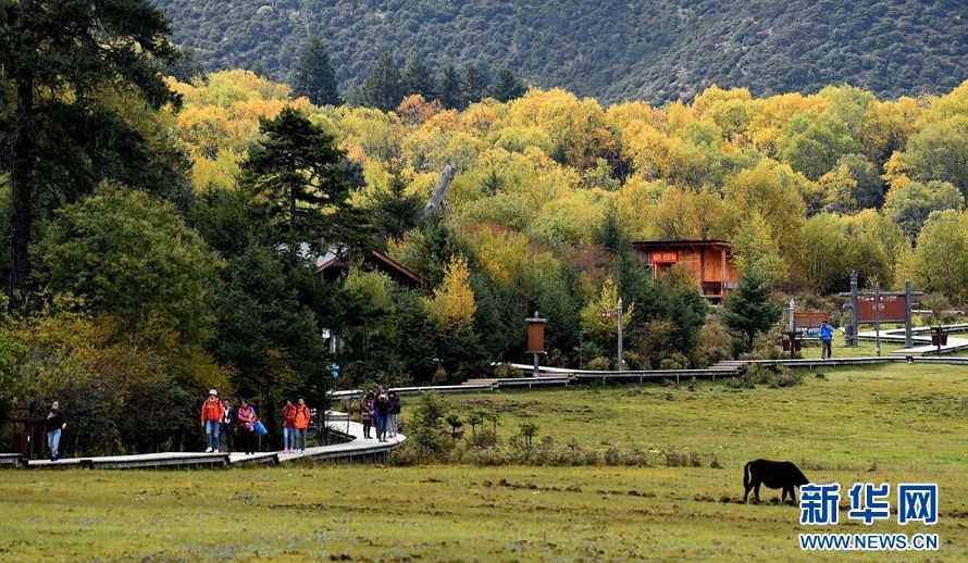 Yunnan pilots national park system to protect rare species