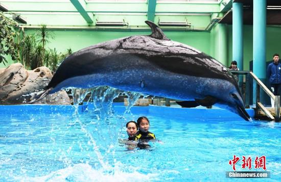 'Dolphin therapy' helps autistic child in Chengdu