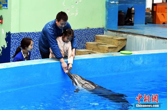 'Dolphin therapy' helps autistic child in Chengdu