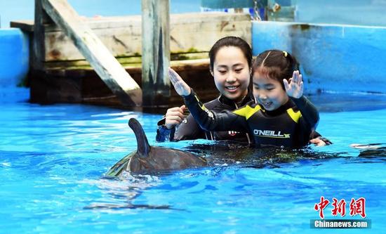 'Dolphin therapy' helps autistic child in Chengdu