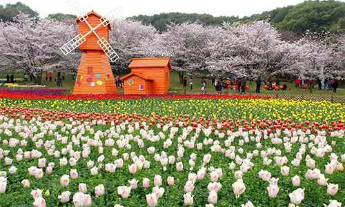 Spring flowers in full blossom across China