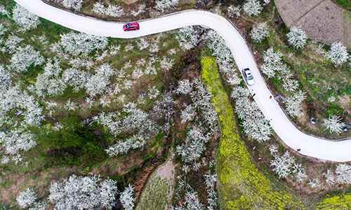 Spring flowers in full blossom across China