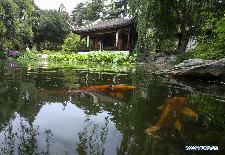 Scenery of Chinese garden Liu Fang Yuan in Los Angeles