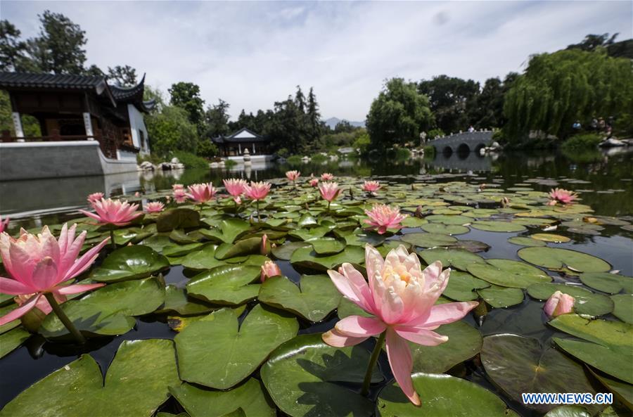 Scenery of Chinese garden Liu Fang Yuan in Los Angeles