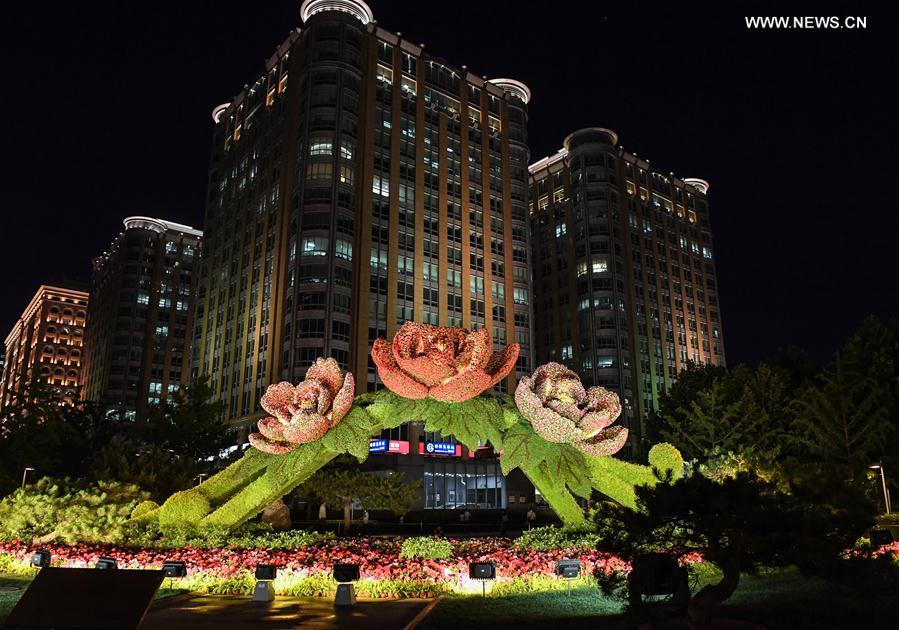 Landscape lighting illuminates Beijing to greet Belt and Road Forum