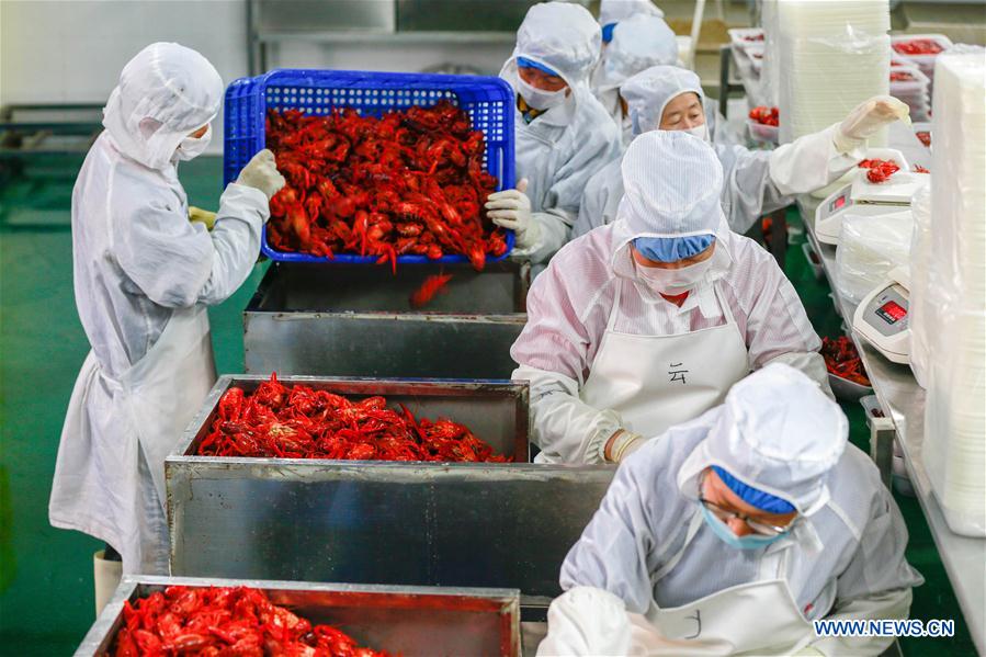 Annual output value of crayfish surpasses 1.47 billion USD in China