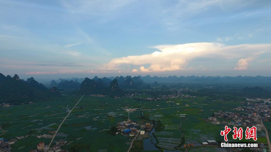 5,000-acre lotus pond stretches to edge of sky in Guangxi