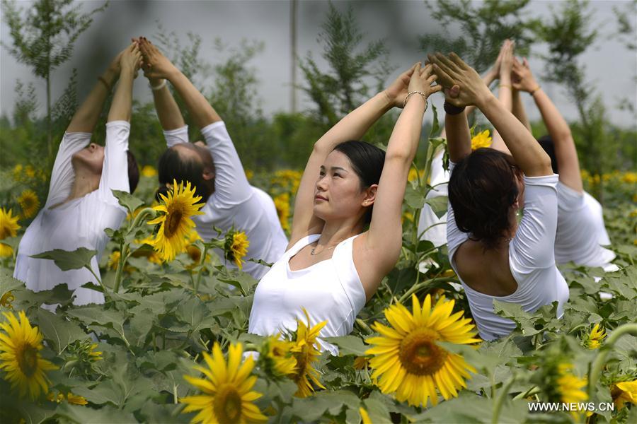 International Yoga Day celebrated in China