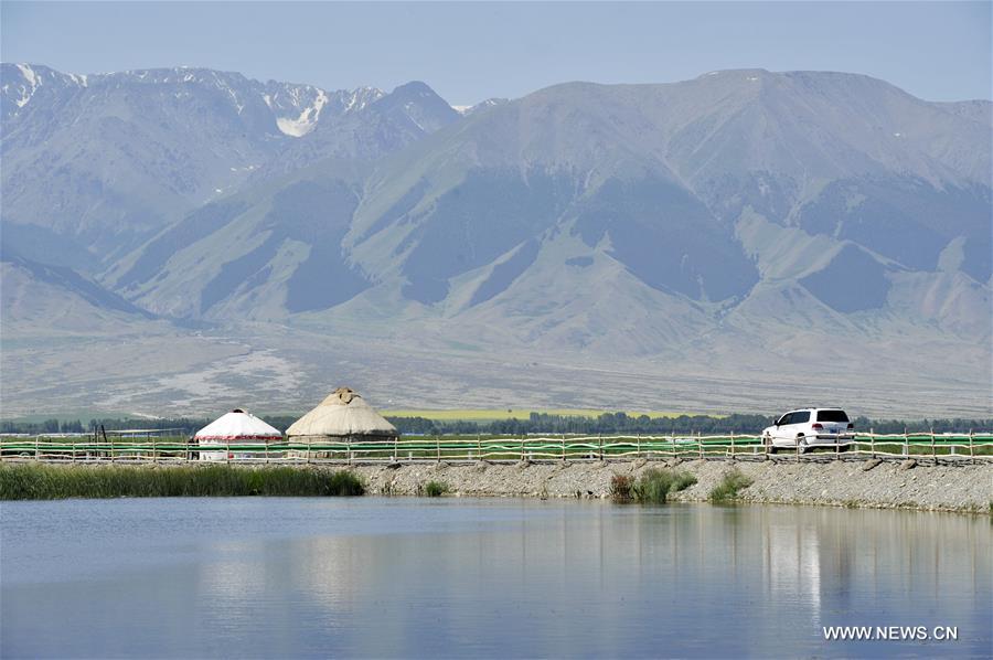 Tourists enjoy beauty of wetland in China's Xinjiang