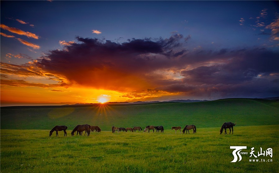 Picturesque summer scenery of Tuohulasu Prairie in Xinjiang