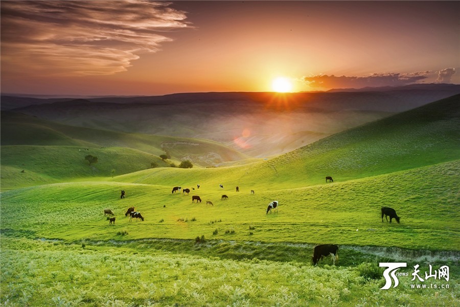 Picturesque summer scenery of Tuohulasu Prairie in Xinjiang