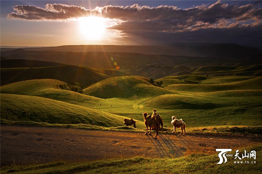 Picturesque summer scenery of Tuohulasu Prairie in Xinjiang