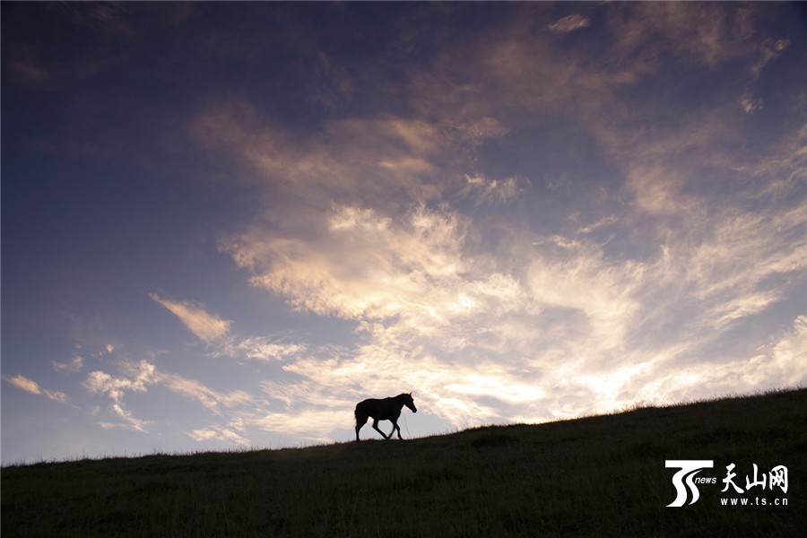 Picturesque summer scenery of Tuohulasu Prairie in Xinjiang