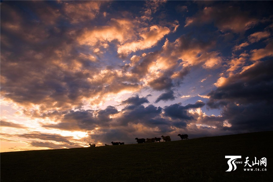 Picturesque summer scenery of Tuohulasu Prairie in Xinjiang